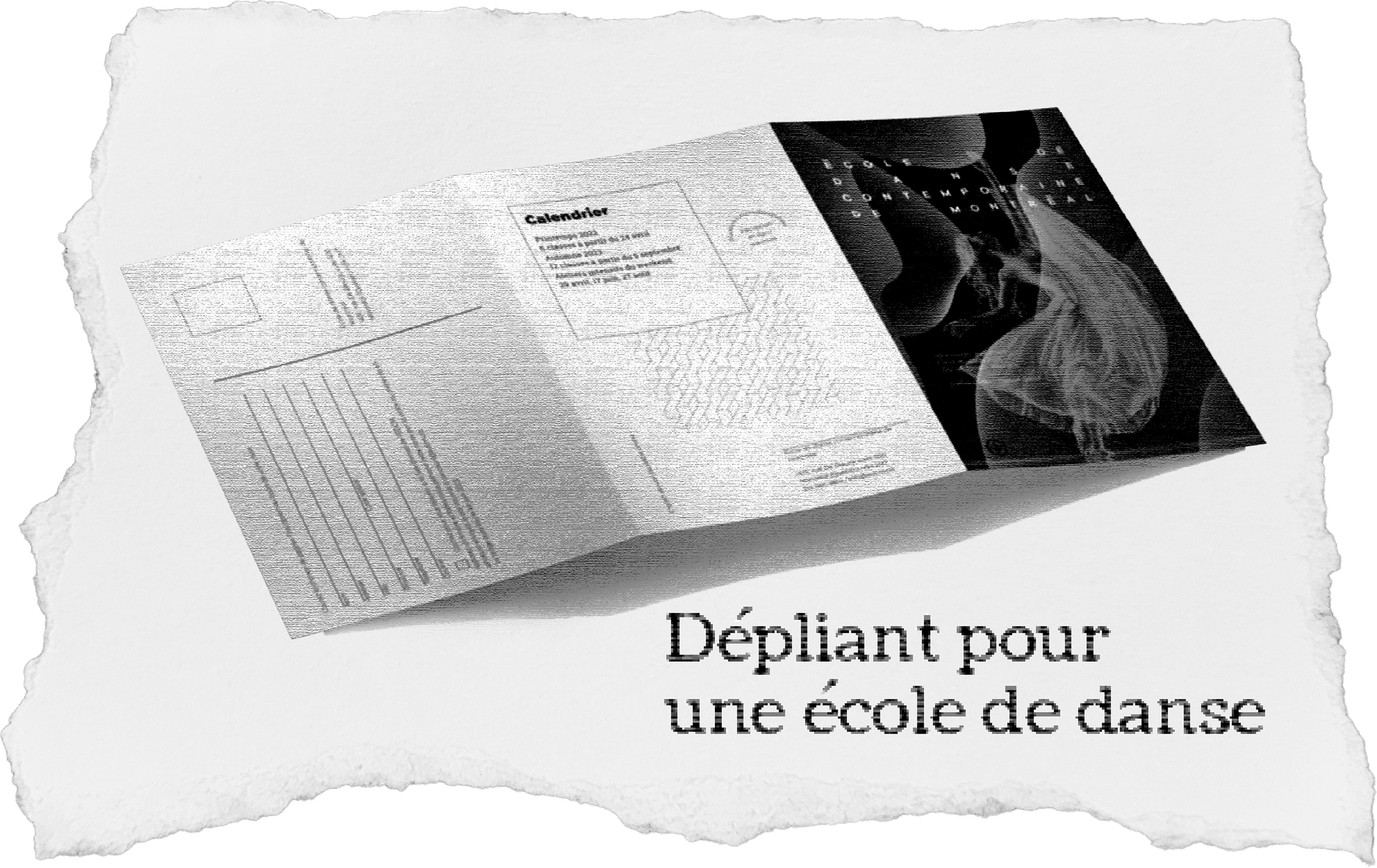 Projet 2