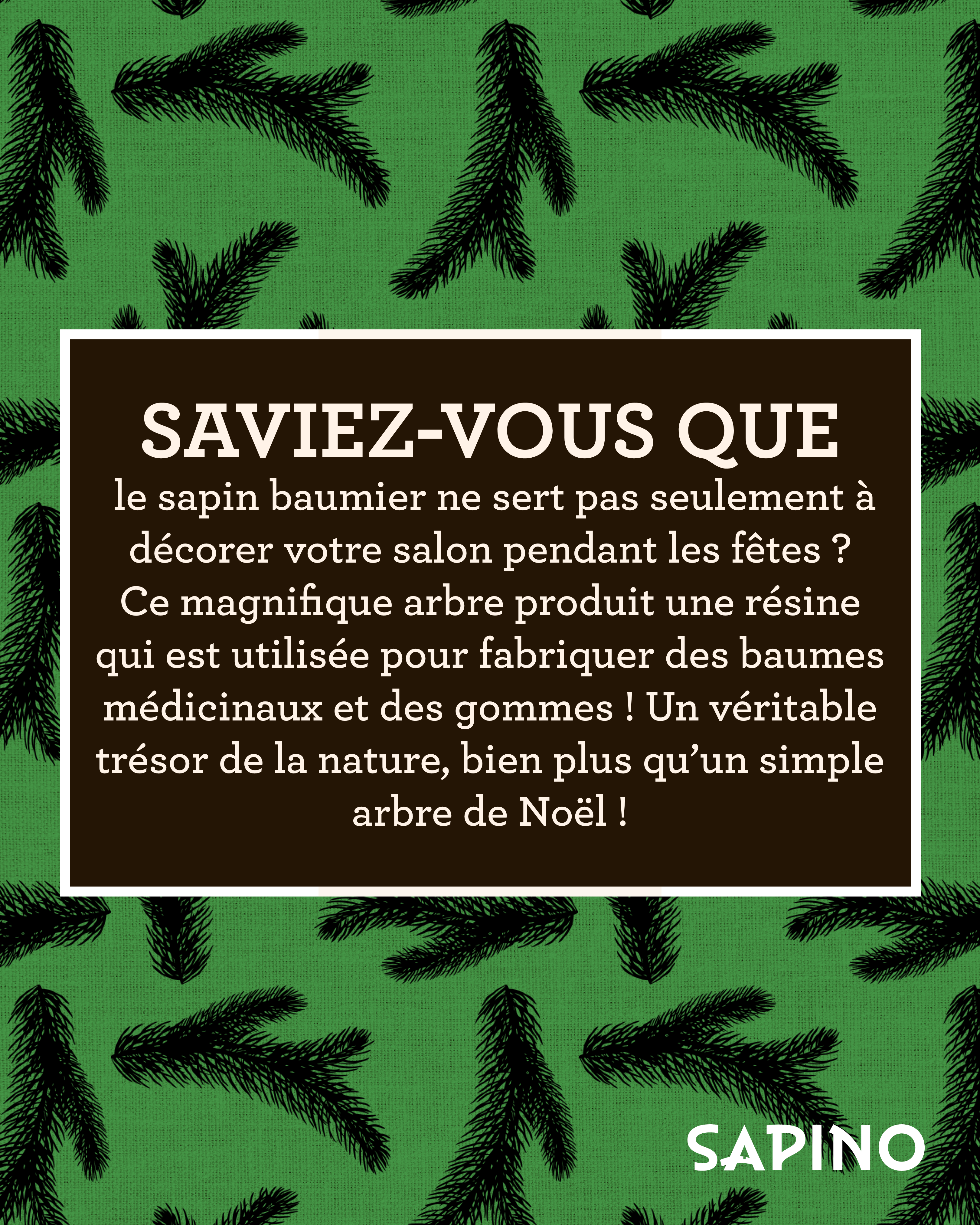 Photo secondaire 8